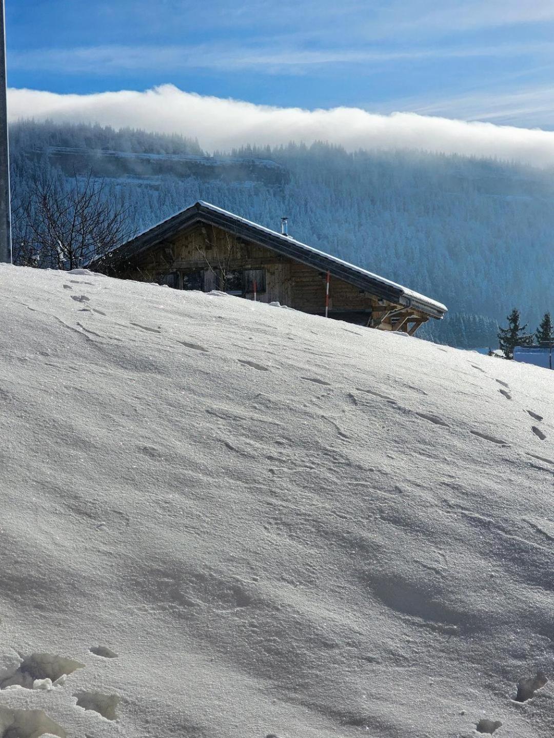 Magnifique Appartement A La Montagne Classe 4 Etoiles Chapelle-des-Bois Eksteriør bilde